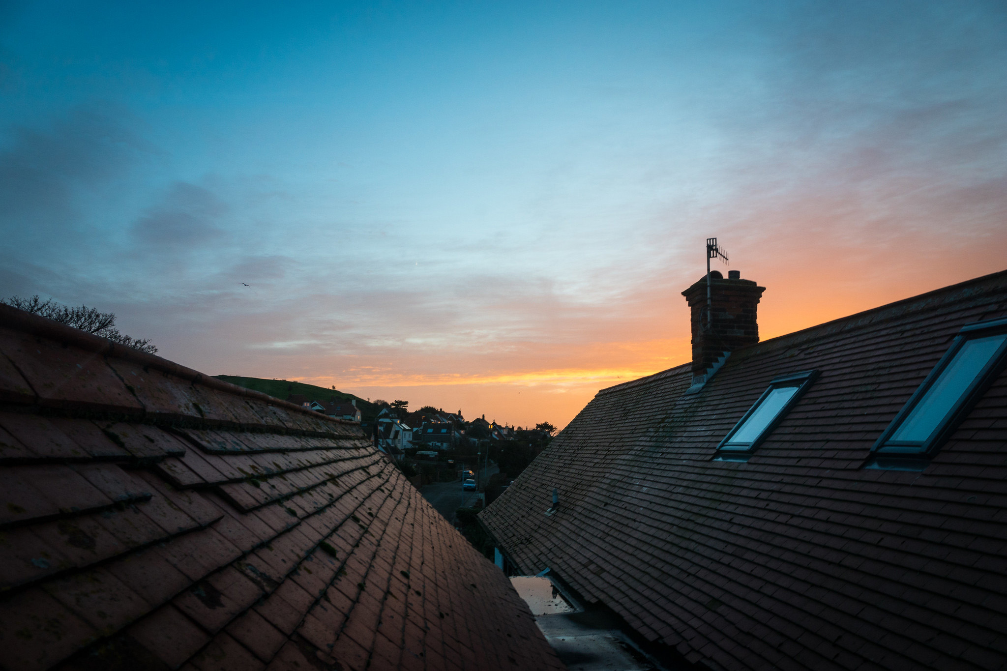 Streaming the Dawn Chorus