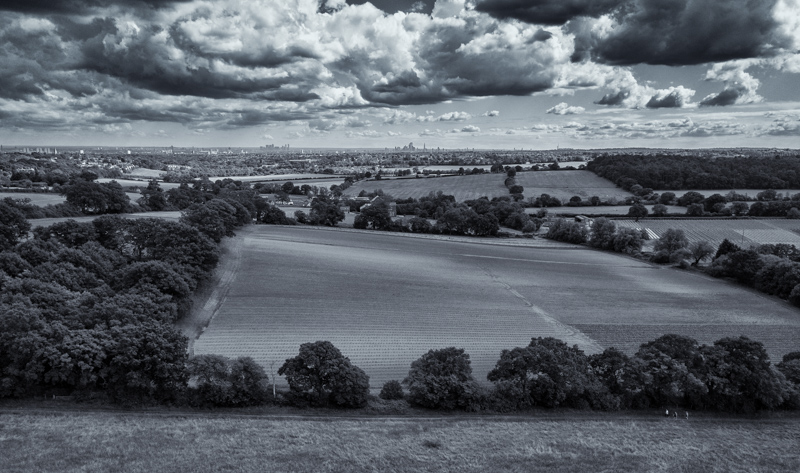 View to the City