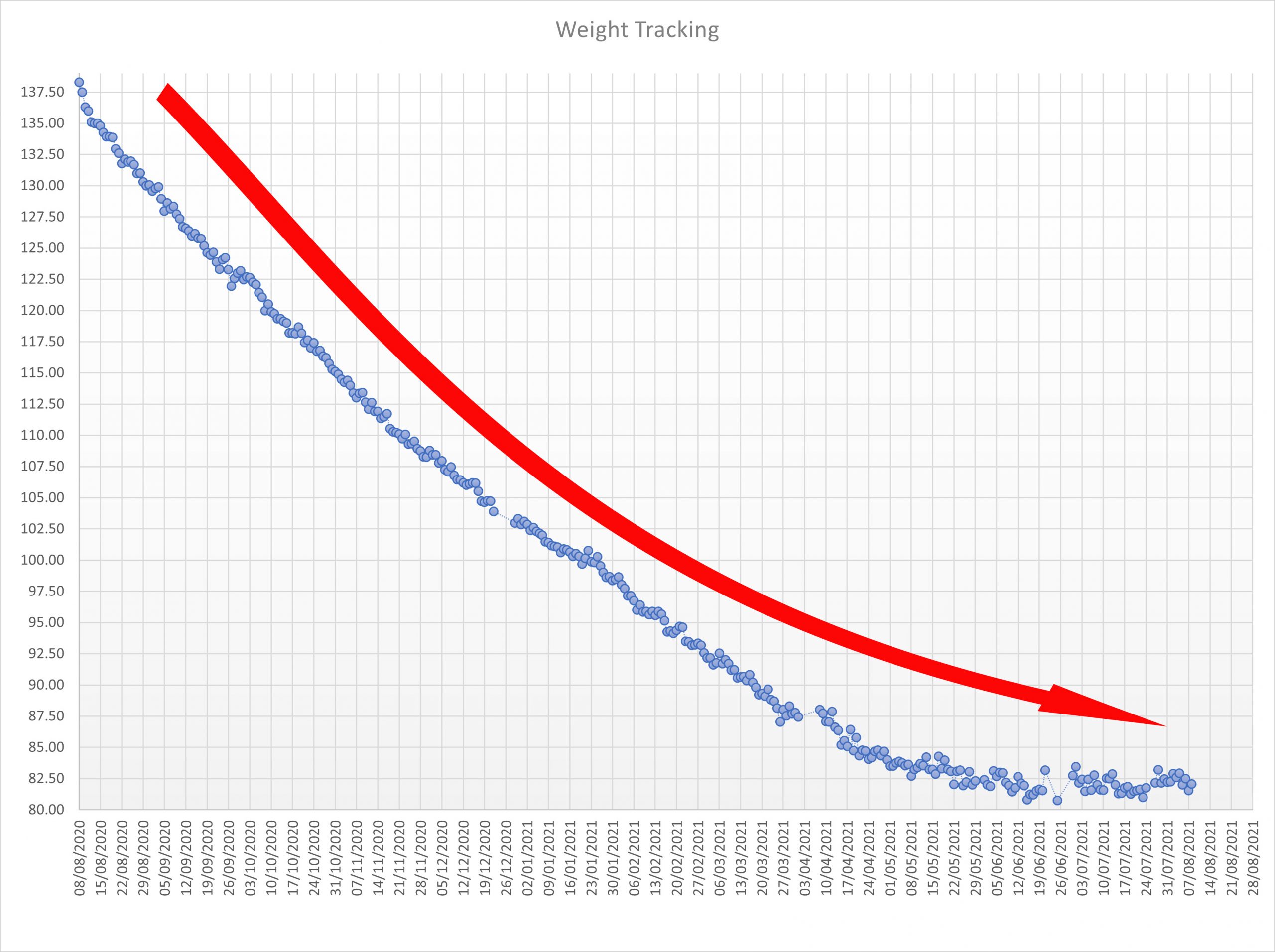 Losing 56 kg / 9 stone / 124 lbs Over a Year