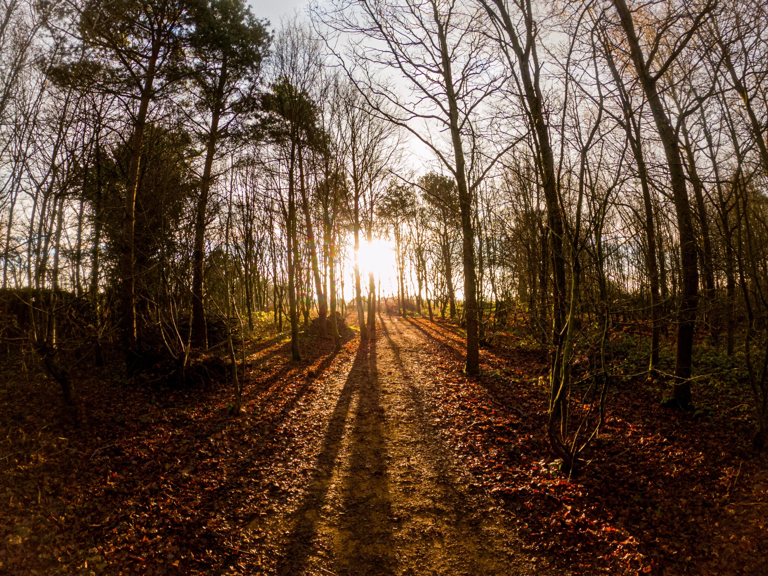 A New Footpath